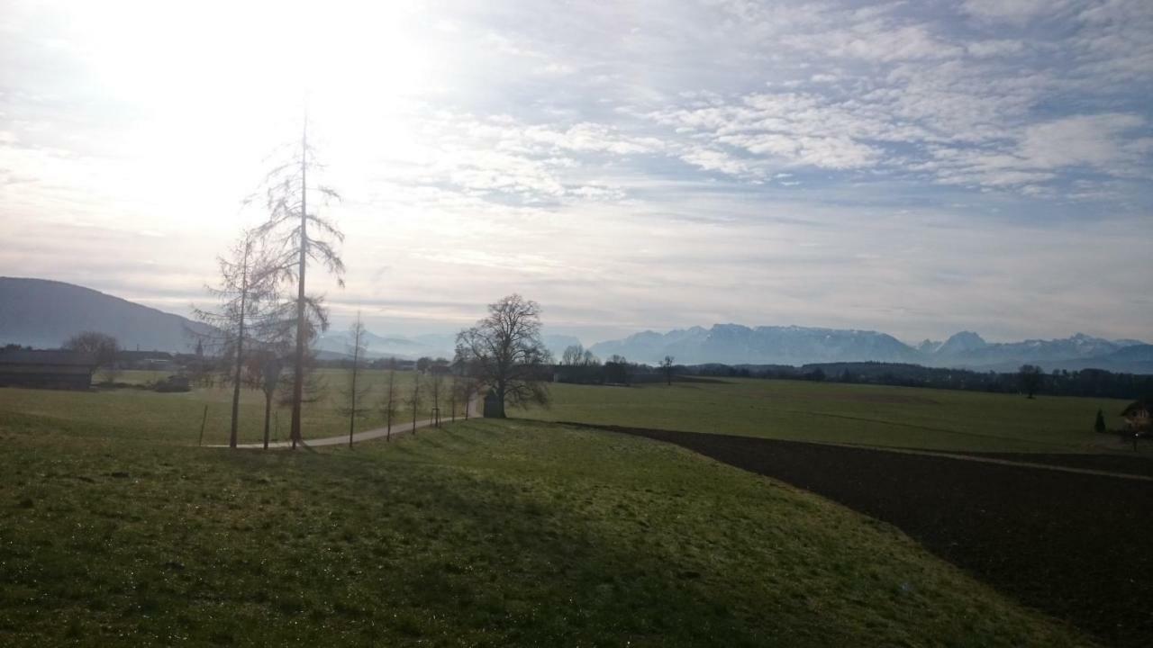 Ferienwohnung An Der Idyllischen Salzachschleife Naehe Salzburg Laufen Exterior foto
